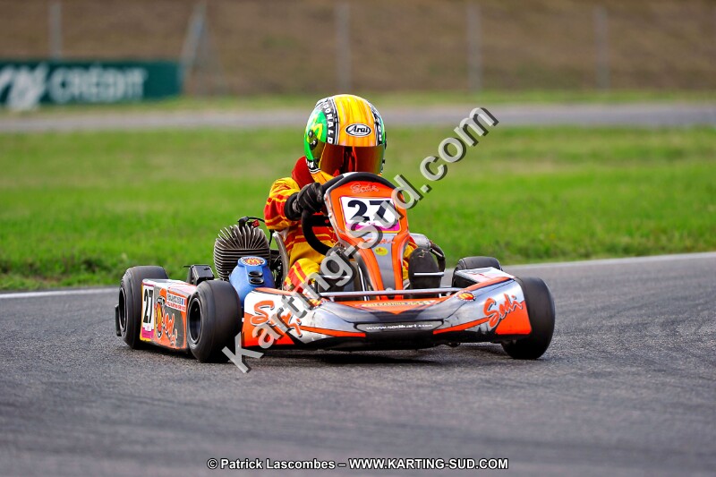 DSC_ (893).jpg